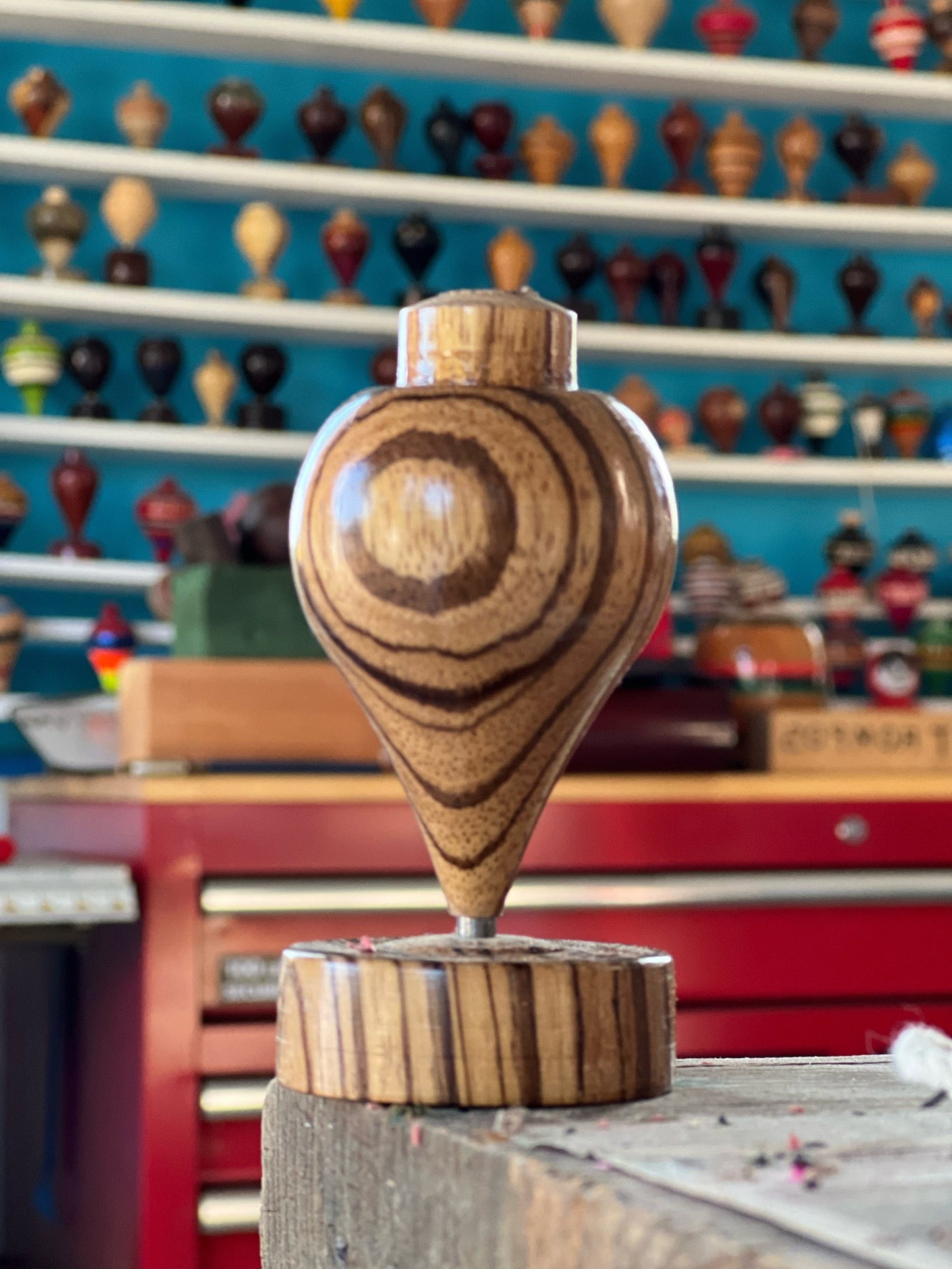 Zebrawood Trompo